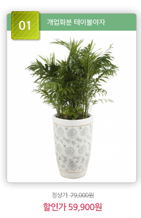 ���̺�����