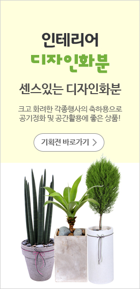 ����bg4 �����Ĺ�